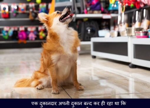 Dog Story Hindi Message | एक समझदार कुत्ते की कहानी