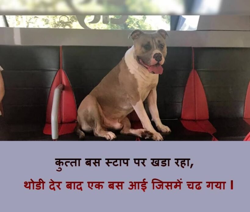 Dog Story Hindi Message | एक समझदार कुत्ते की कहानी 